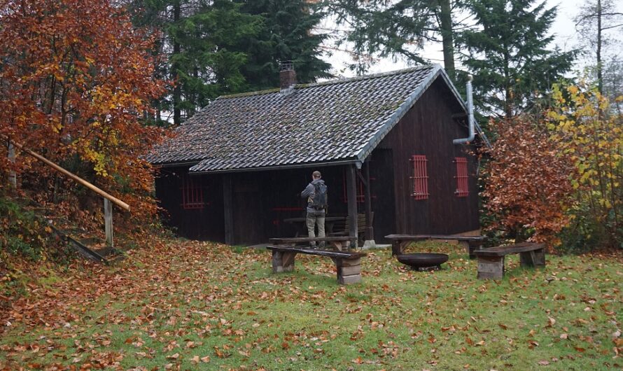 Diese Wanderung im Wald bei Büren hat uns einige Rätsel aufgegeben, die ich gerne für euch geklärt hätte, aber leider antwortet dort niemand. Also bleibt es rätselhaft, was wir dort verfanden.

wanderrattes-blog.de/2026/01/18/im-…

#wanderrattesblog
#outdoor
#wanderung