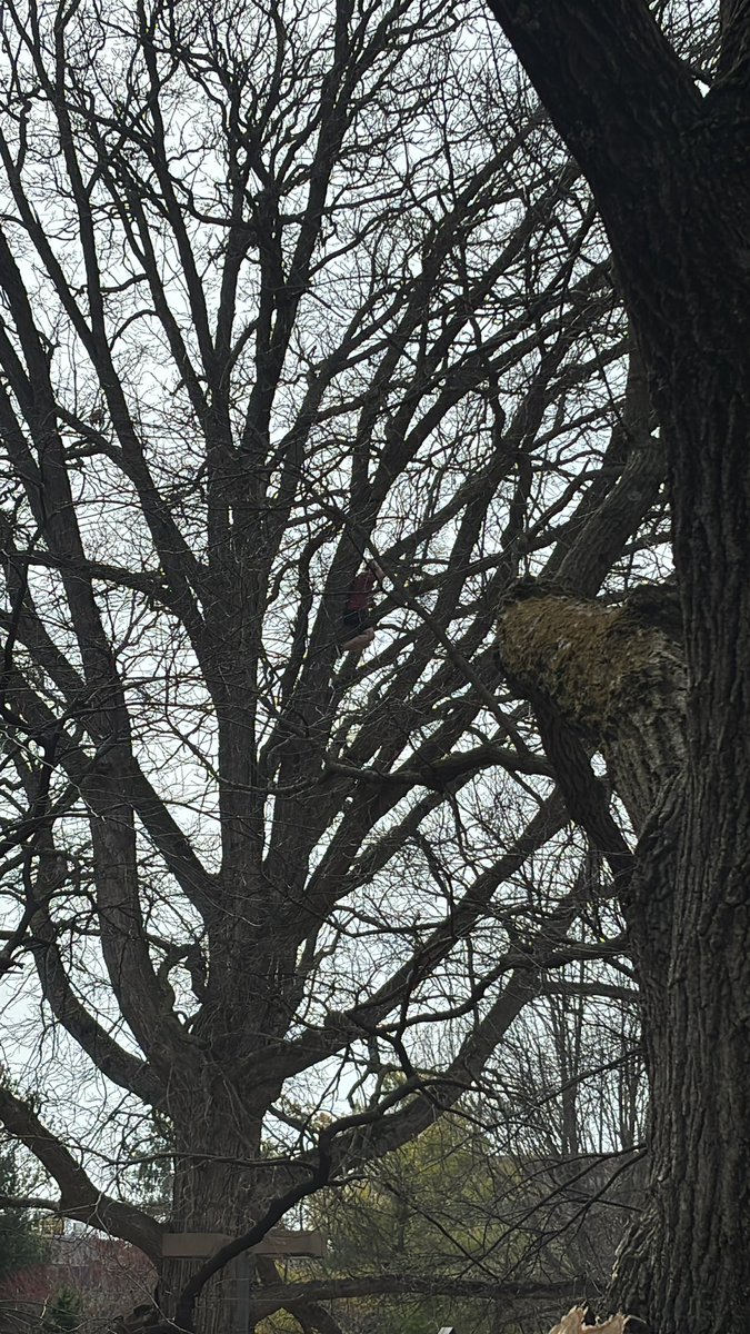 Buchanan Hall tweet media