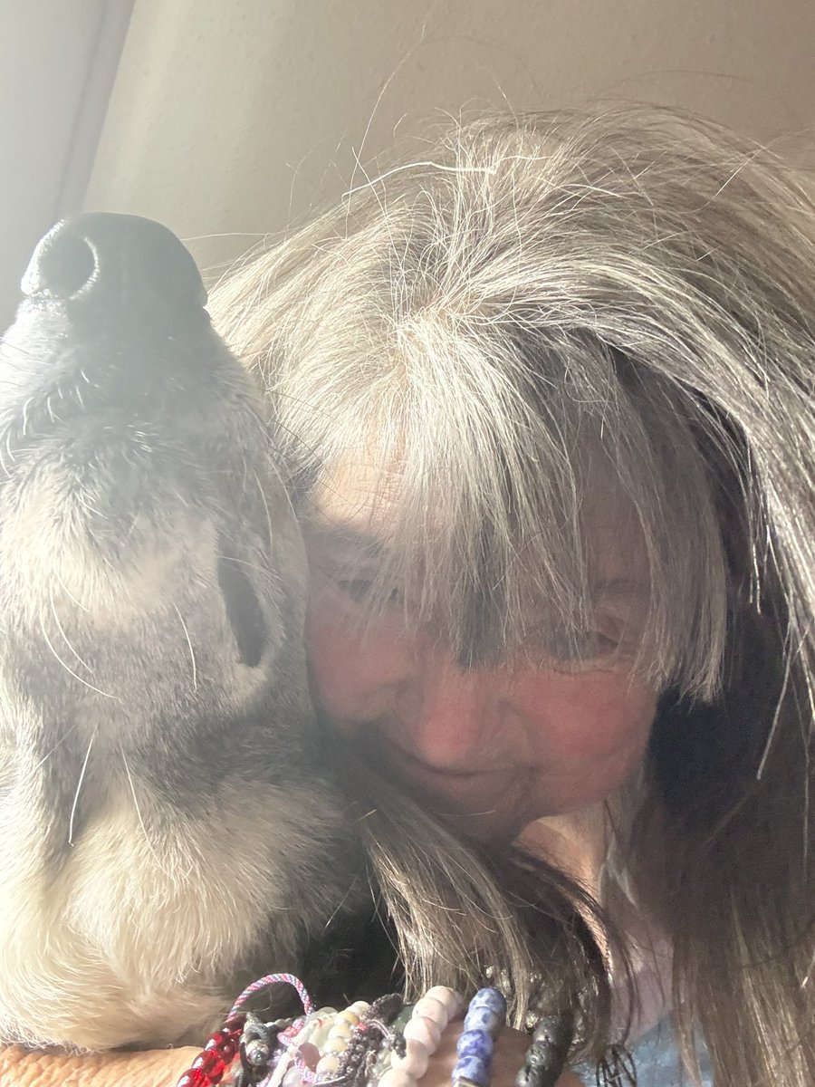 SouthernBellePatriot ❤️ 🇺🇸 tweet media