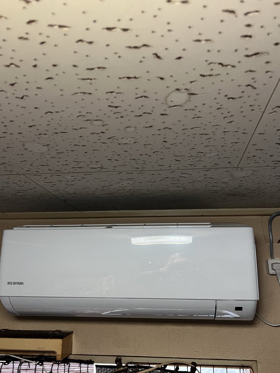 ろうぜん tweet media