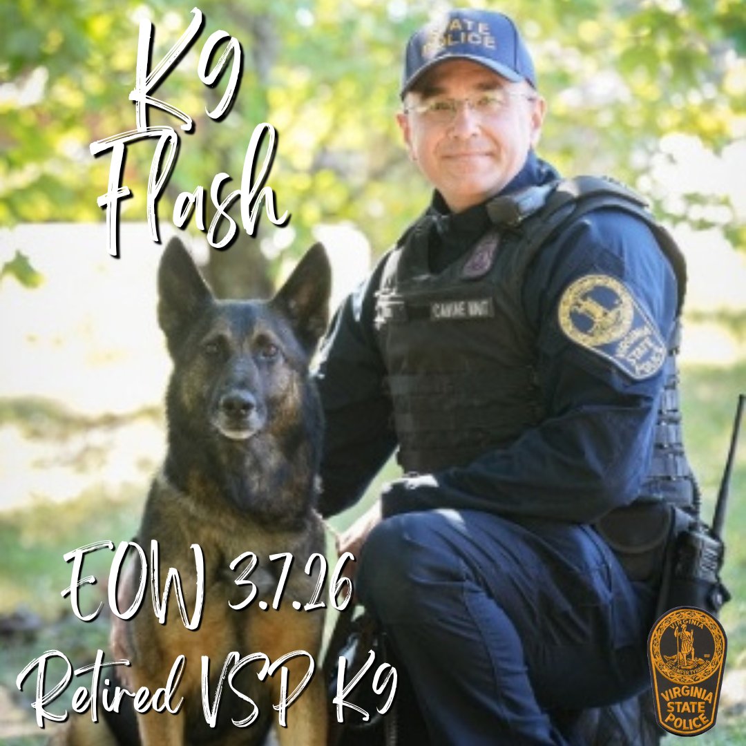 VSPPIO's tweet image. We honor retired VSP K9 Flash, an explosive detection K9 who served alongside SA Billy Burke. 

Flash kept communities safe and became a favorite to many who followed his story. His legacy of service and loyalty will not be forgotten.

Rest easy, Flash. 💙🐾

#VSP #K9 #EndOfWatch