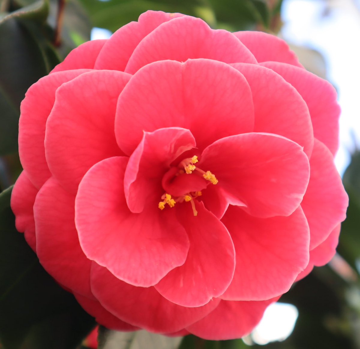 ムラサキノハナ👾 tweet media