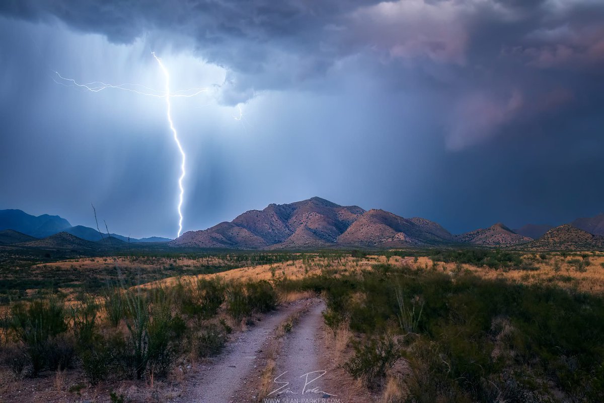 Sean Parker tweet media