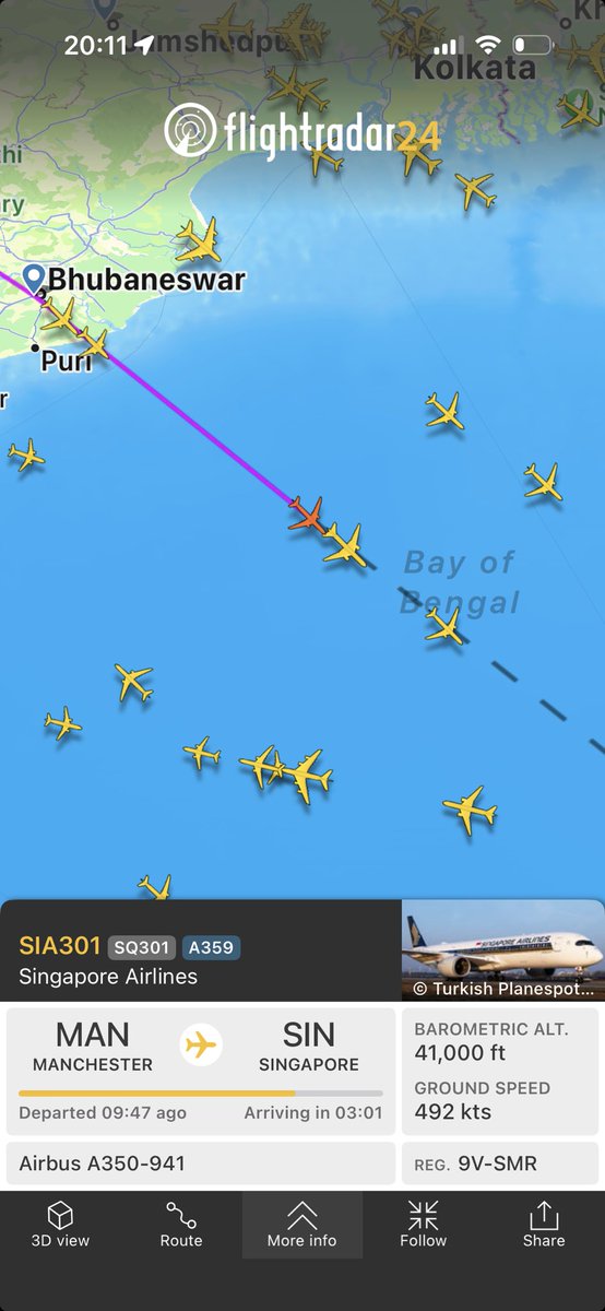 Molly Dog tweet media