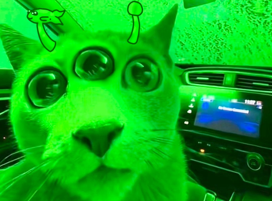 eye_devs's tweet photo. SO THERES THIS CAT GOING EXTREMLEY VIRAL ON TIKTOK RIGHT NOW WITH A VIDEO GAINING 30 MIL VIEWS IN 72 HOURS AND IS STILL GROWING.

ITS ABOUT COZY THE CAT WITNISSING ITS FIRST CAR WASH AND THE OWNER EDITED IT AS IF ITS A HORROR MOVIE.

PEOPLE IN THE COMMENTS ARE MAKING MEMES OUT OF IT AND USING IT AS A REACTION MEME.

TIKTOK: https://t.co/baakIJWbKi