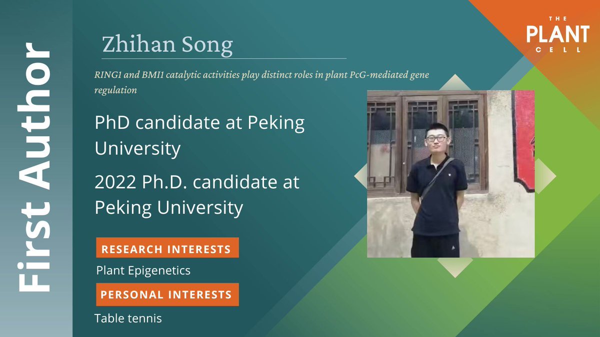 ThePlantCell's tweet photo. Song would like to express special thanks to Professor Zhou Yue and other members of the lab.  #WeAreASPB https://t.co/OJBnAdKmHG https://t.co/dD2VP5KlHq