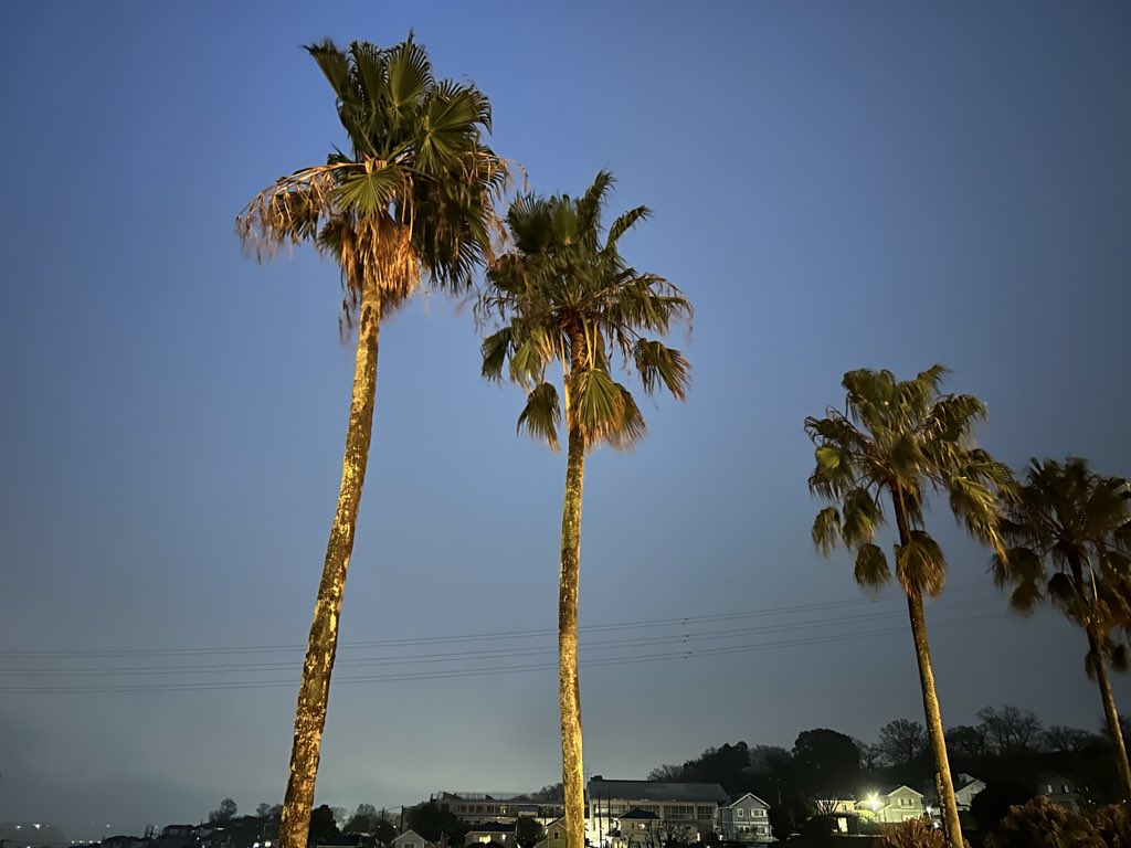 あるがままのミック ⚠️🚫NO DM⚠️ tweet media