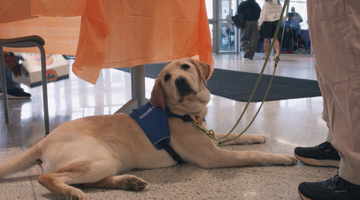 Afotey Annum (Per Annum Media) tweet media