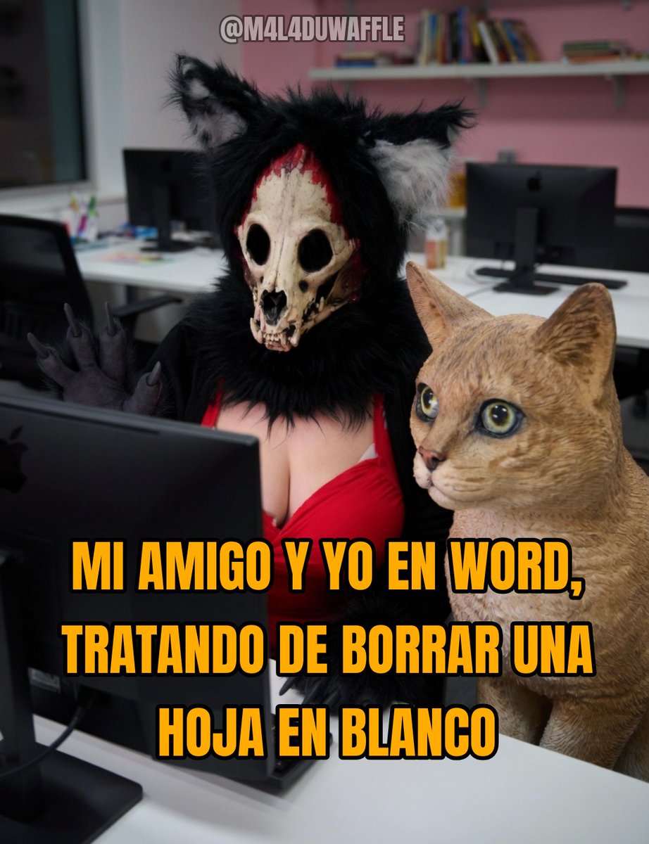 M4L4 Du Waffle tweet media