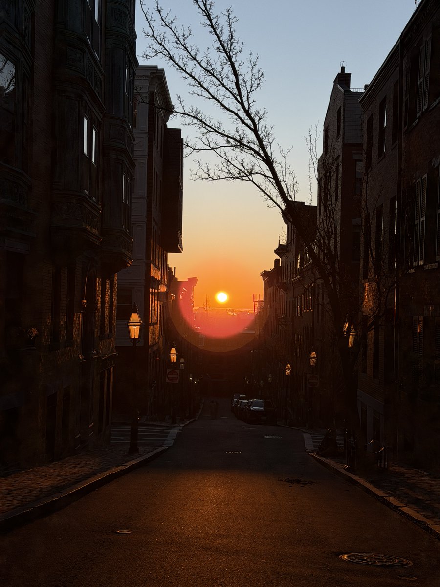 Only In Boston tweet media