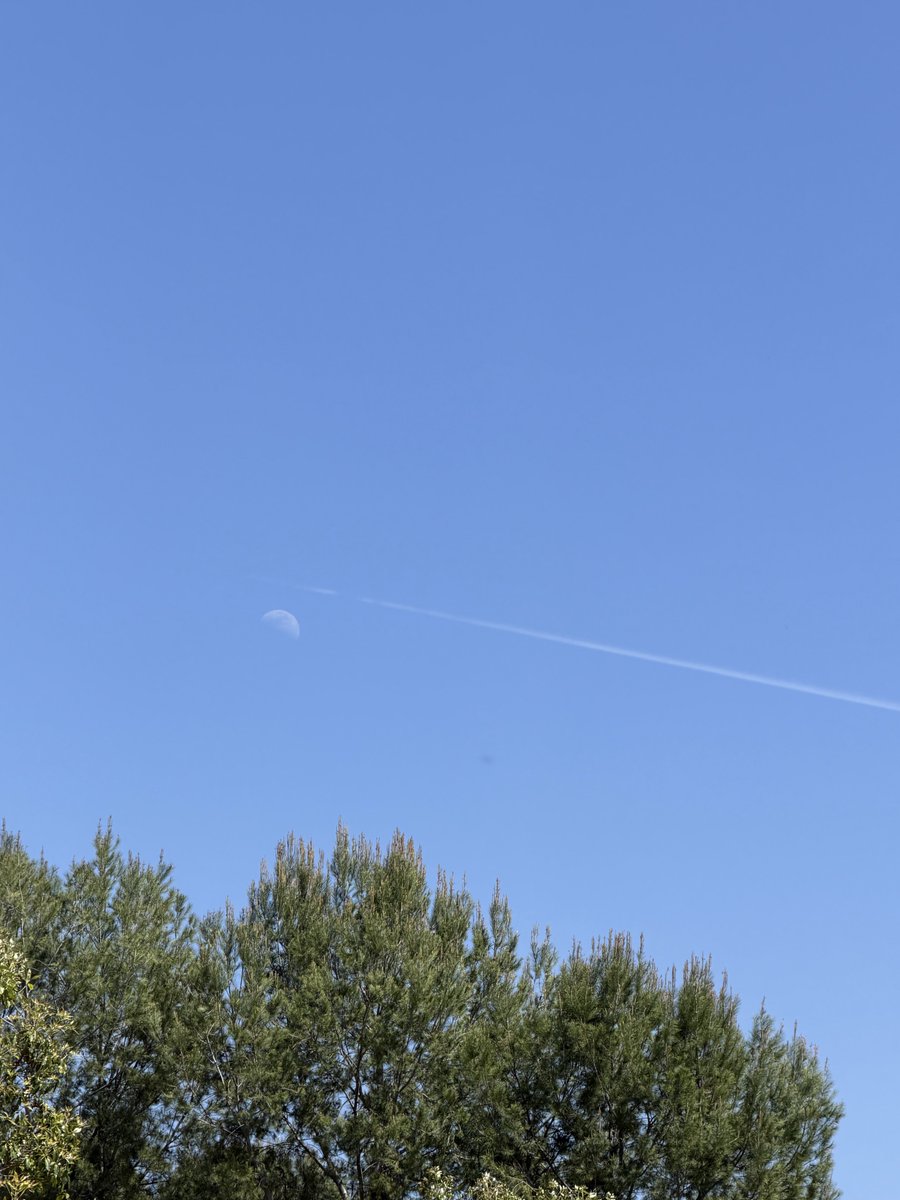 MylilAngelsRose tweet media