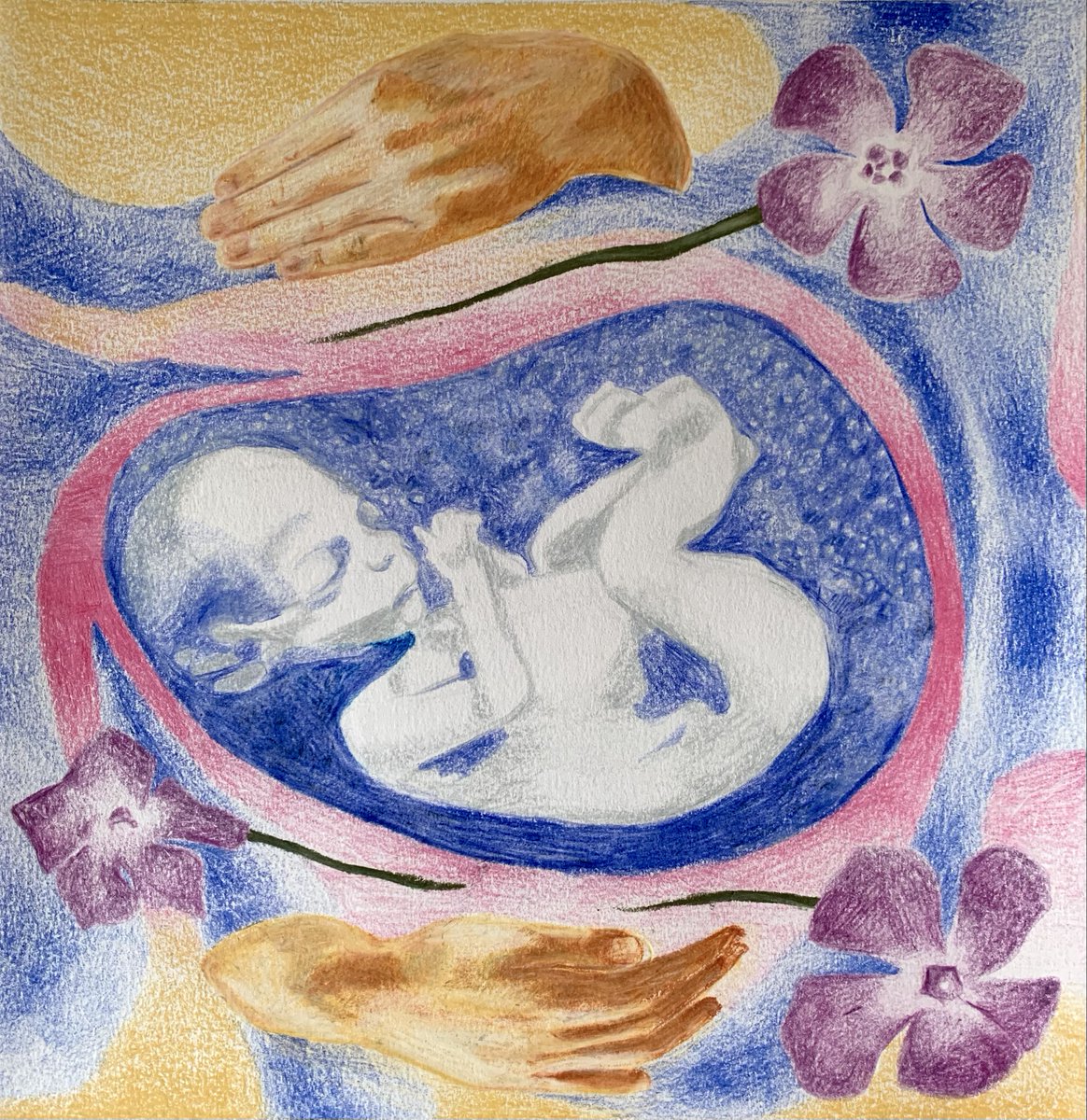 "The Mystery Of Motherhood", a great short post for the Feast of The Annunciation, with new original artwork.
mariastopsabortion.blogspot.com/2026/03/the-my…