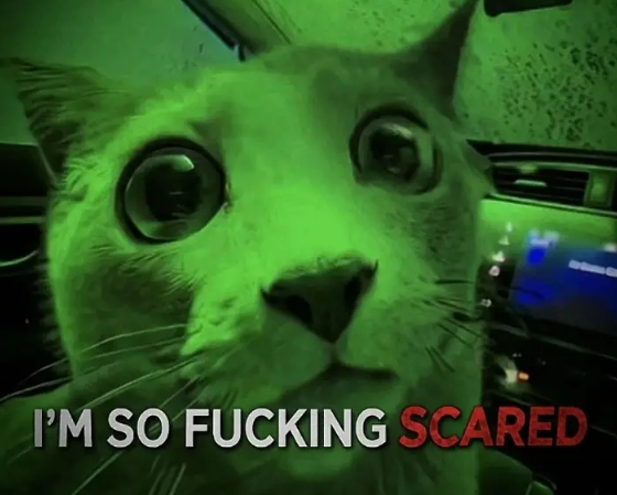 eye_devs's tweet photo. SO THERES THIS CAT GOING EXTREMLEY VIRAL ON TIKTOK RIGHT NOW WITH A VIDEO GAINING 30 MIL VIEWS IN 72 HOURS AND IS STILL GROWING.

ITS ABOUT COZY THE CAT WITNISSING ITS FIRST CAR WASH AND THE OWNER EDITED IT AS IF ITS A HORROR MOVIE.

PEOPLE IN THE COMMENTS ARE MAKING MEMES OUT OF IT AND USING IT AS A REACTION MEME.

TIKTOK: https://t.co/baakIJWbKi