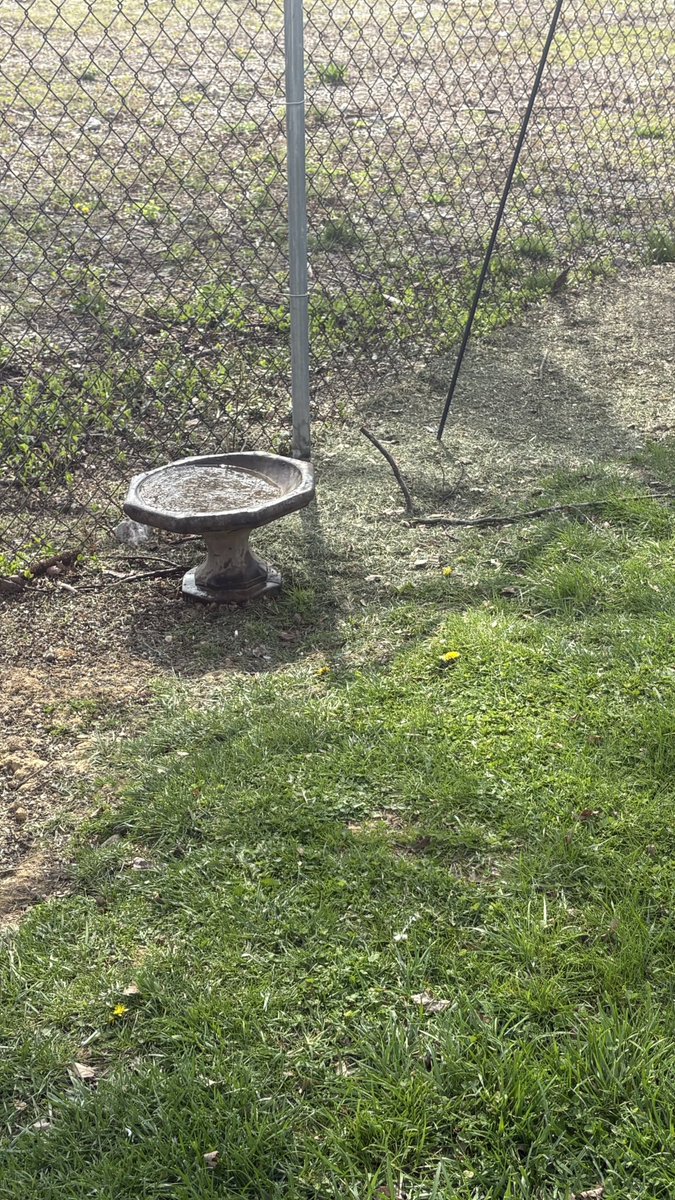 Genuine Kentucky tweet media