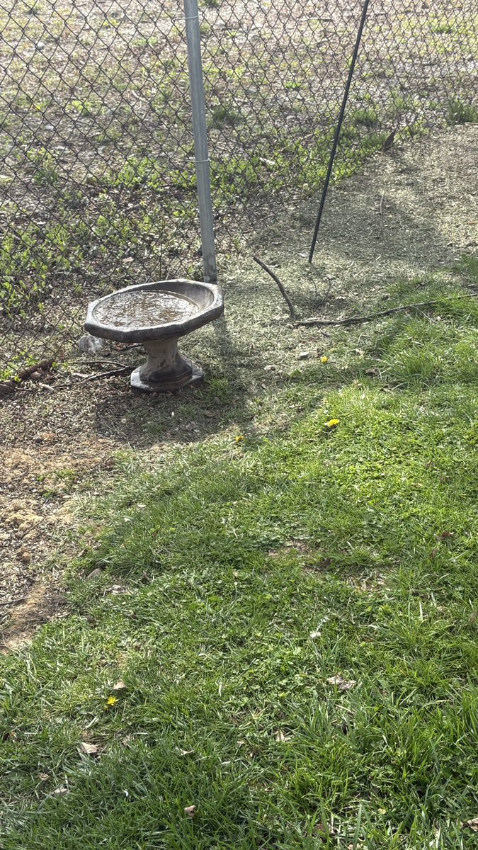 Genuine Kentucky tweet media