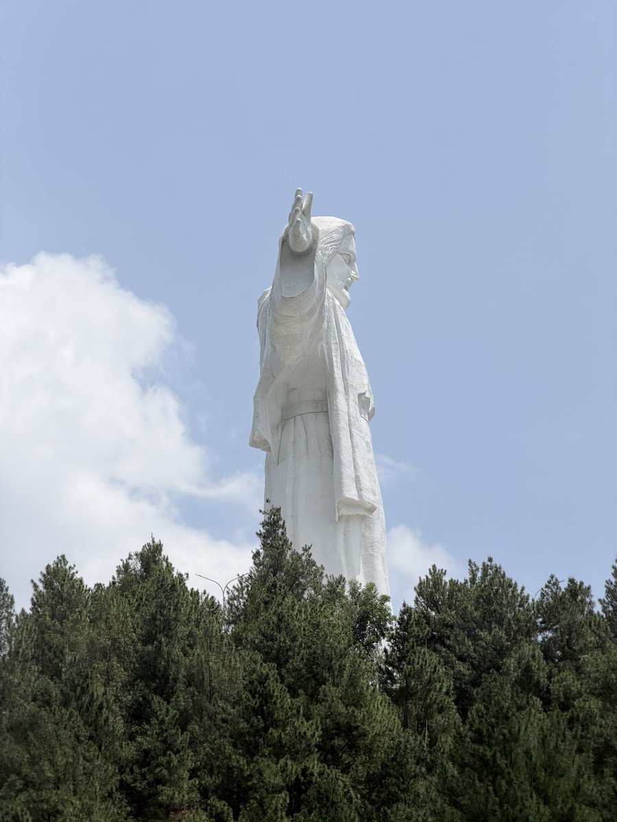 🪞🎀 tweet media