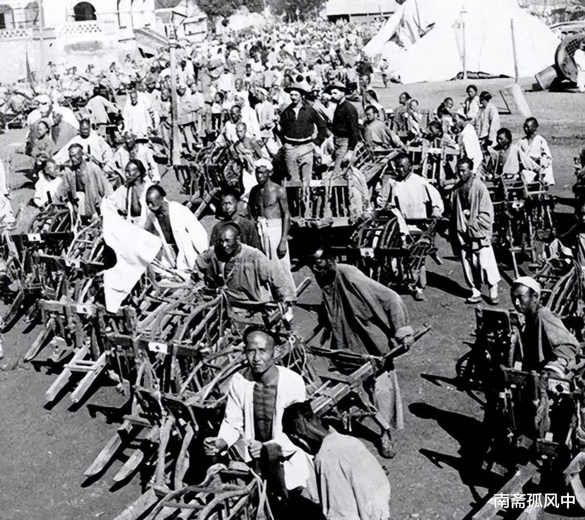 Maha sherif tweet media