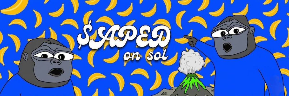 Alpha Taylor tweet media