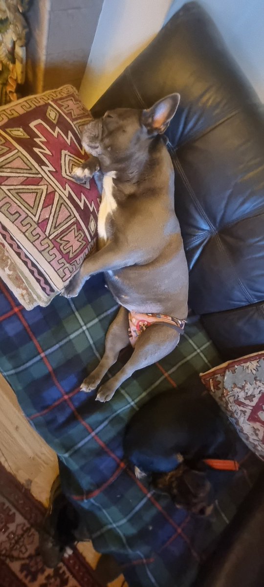 WayneDJC tweet media