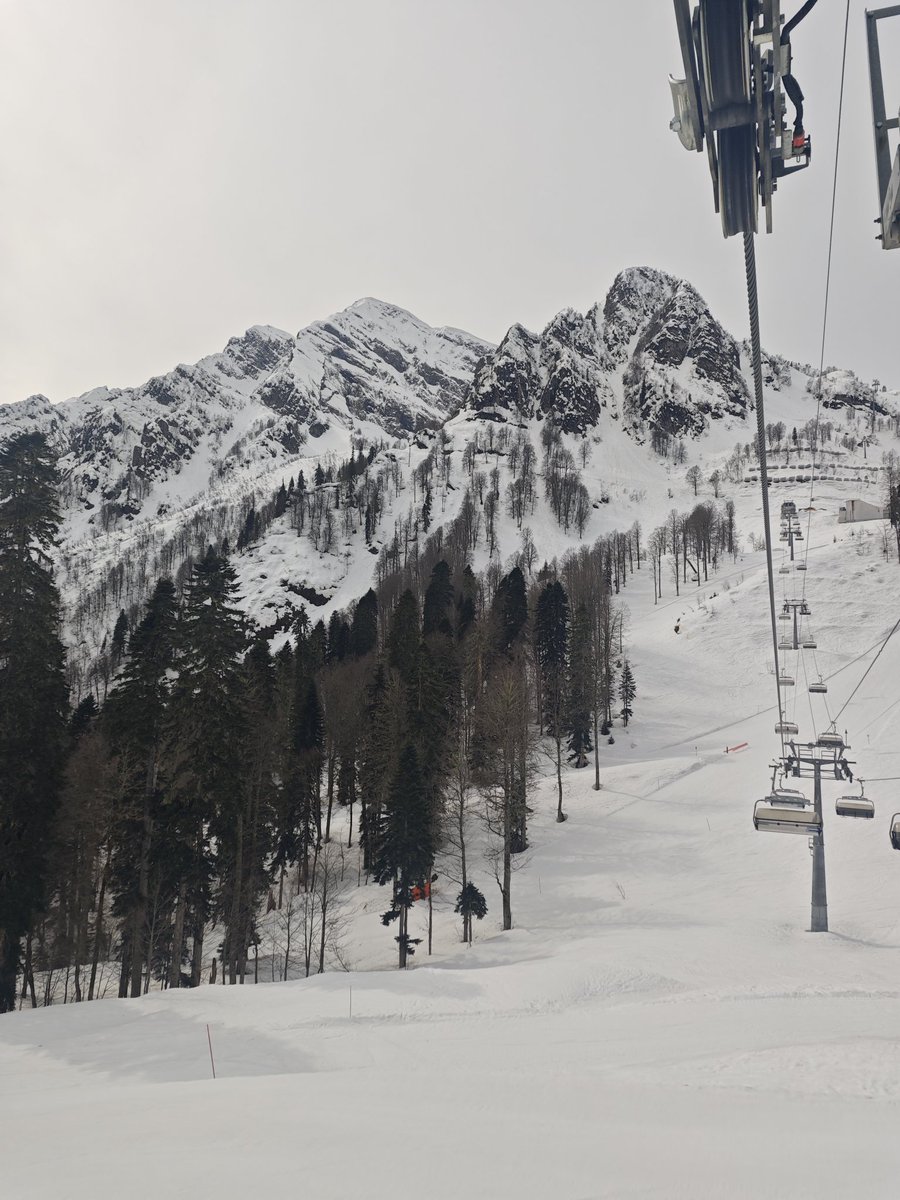 Катерматер tweet media