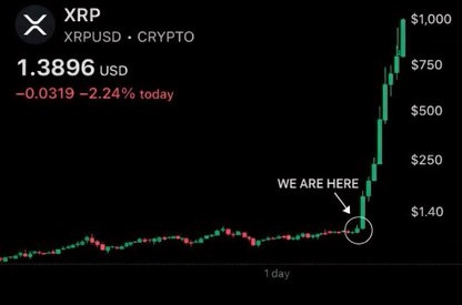 Hailey LUNC XRP tweet media