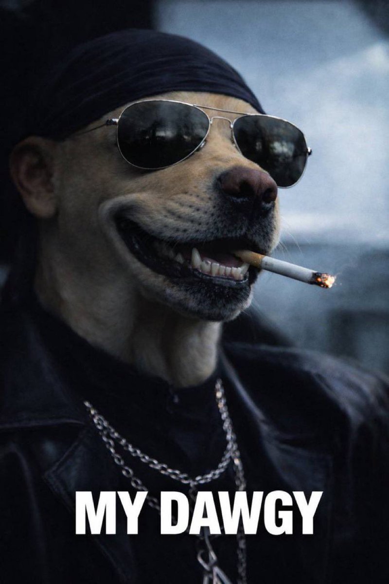 Malcolm ($DOG arc) tweet media