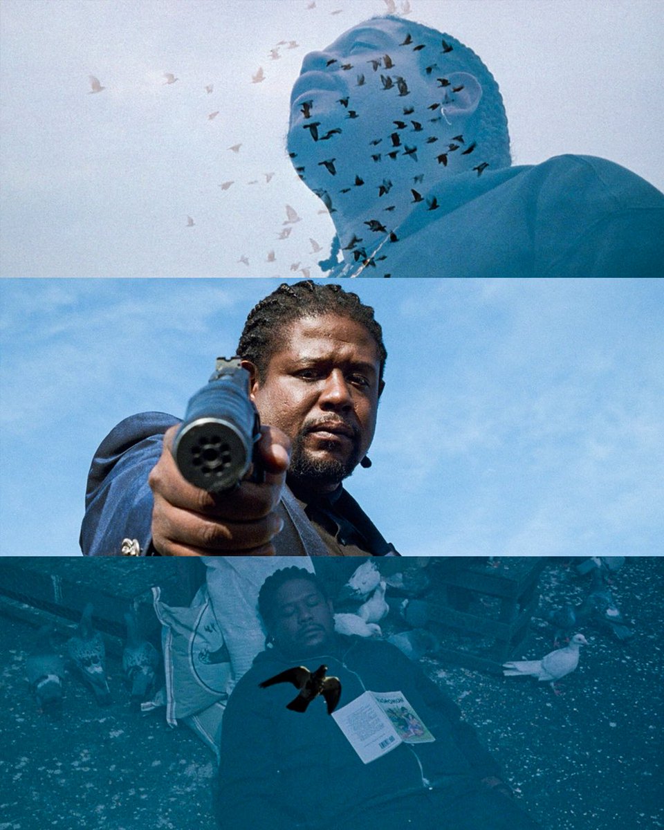 Gangster Cinema Central tweet media