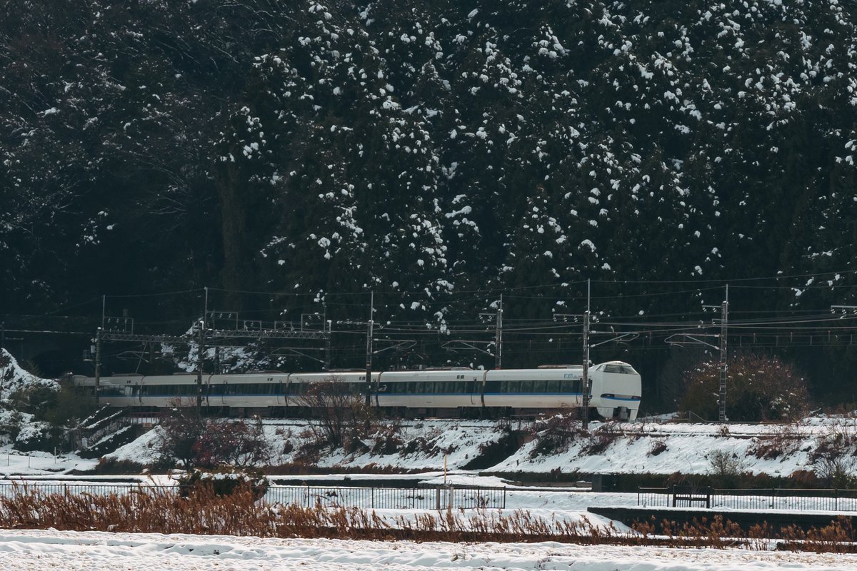 Shoshannim (@shoshannim86) on Twitter photo 