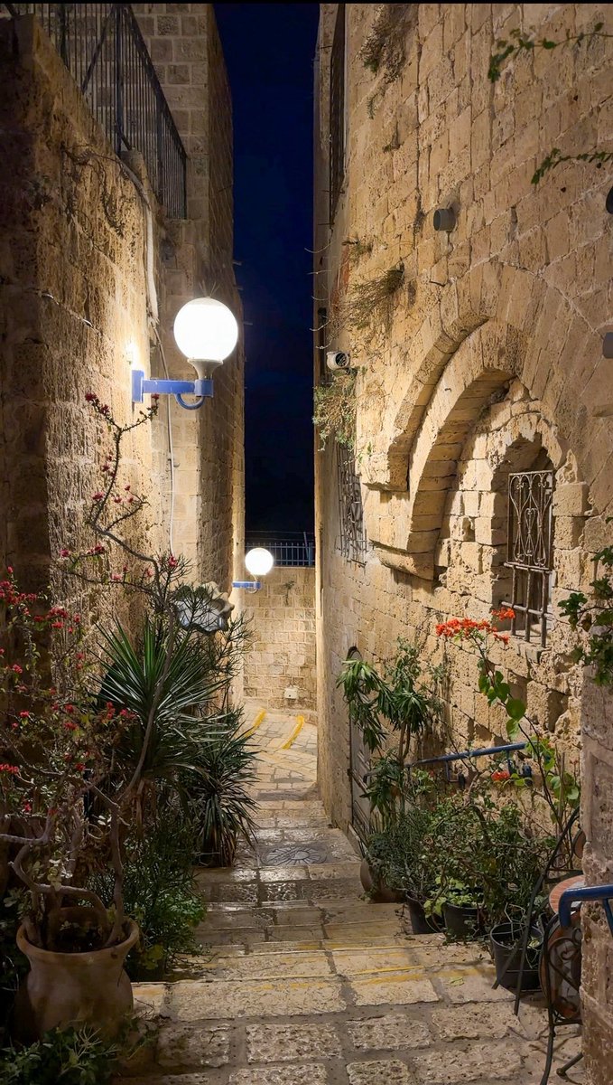 محمد tweet media