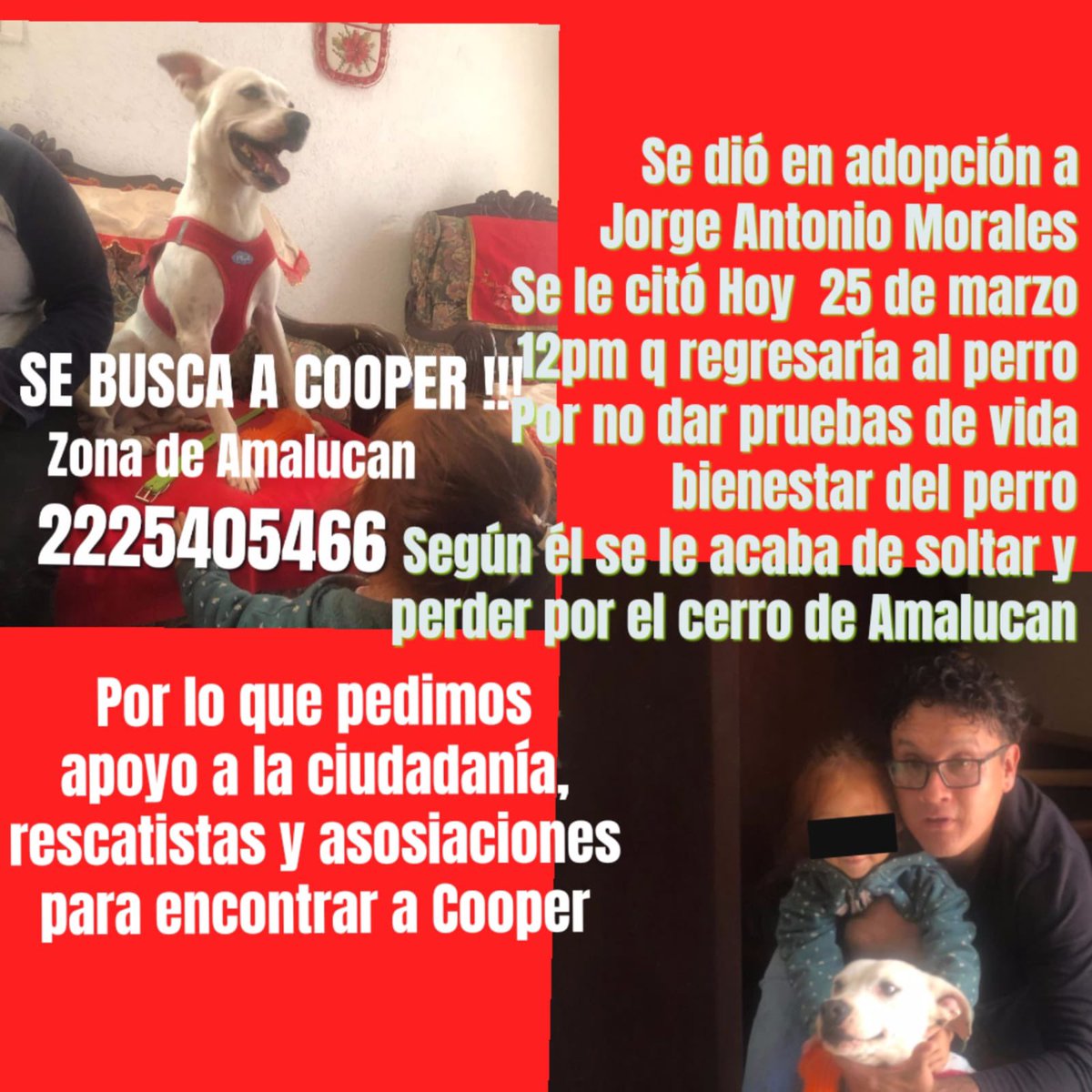 Verónica López tweet media