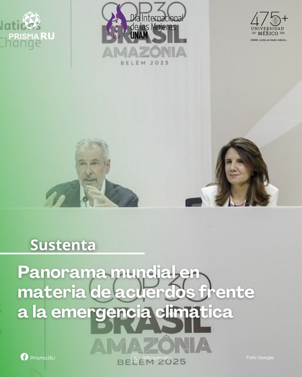 PrismaRU tweet media