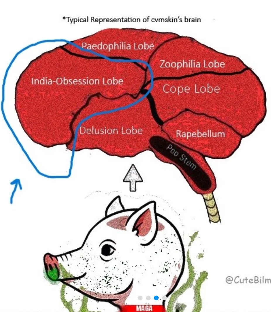 Pappu Pastors of India tweet media