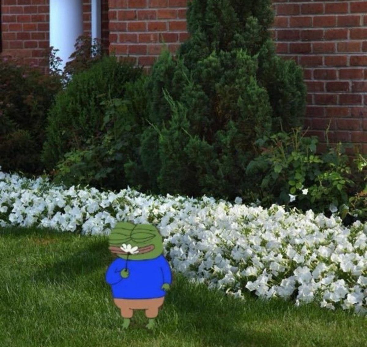 Albert Moreno 🏴 tweet media