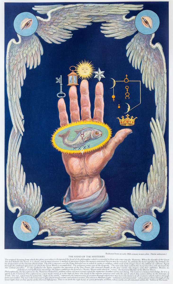 Hanz 𓅔 (I'm back) tweet media