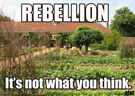 Far right Rob 🏴󠁧󠁢󠁥󠁮󠁧󠁿 tweet media