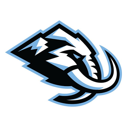 Stupid Seal🦭 tweet media