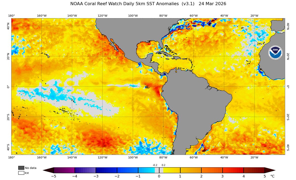 Danilo Evangelista tweet media