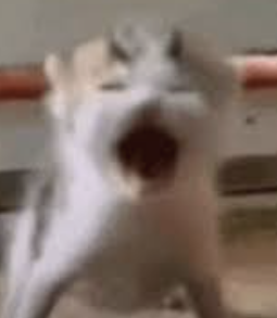 JustAColombian tweet media