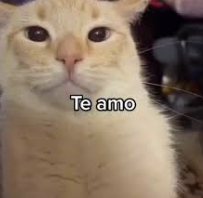 Skip Argentina tweet media