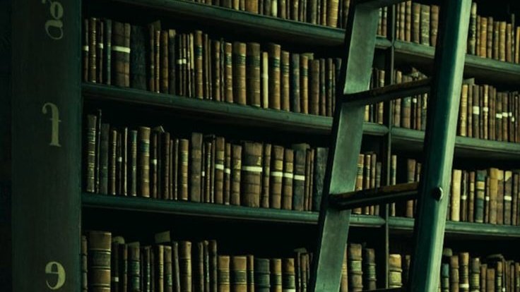 민들레 tweet media