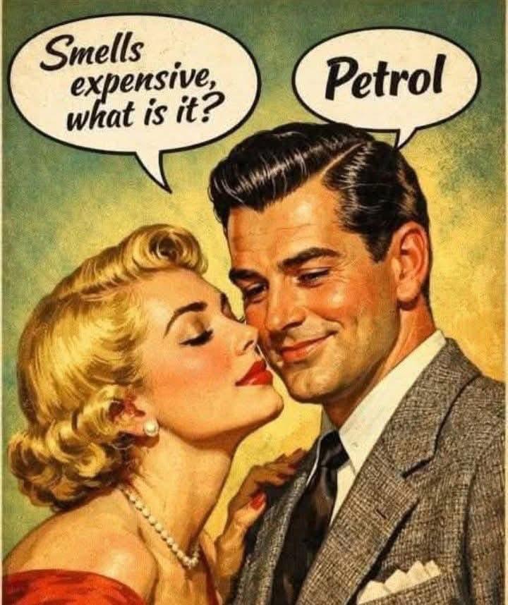 🐞LadybugCornell🐞 tweet media