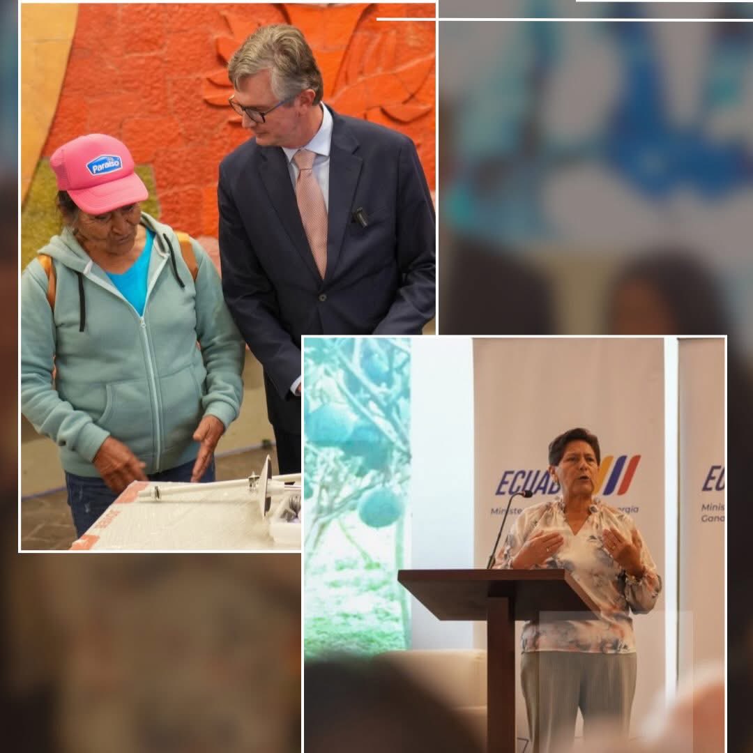 Agricultura, Ganadería y Pesca Ecuador 🇪🇨 tweet media