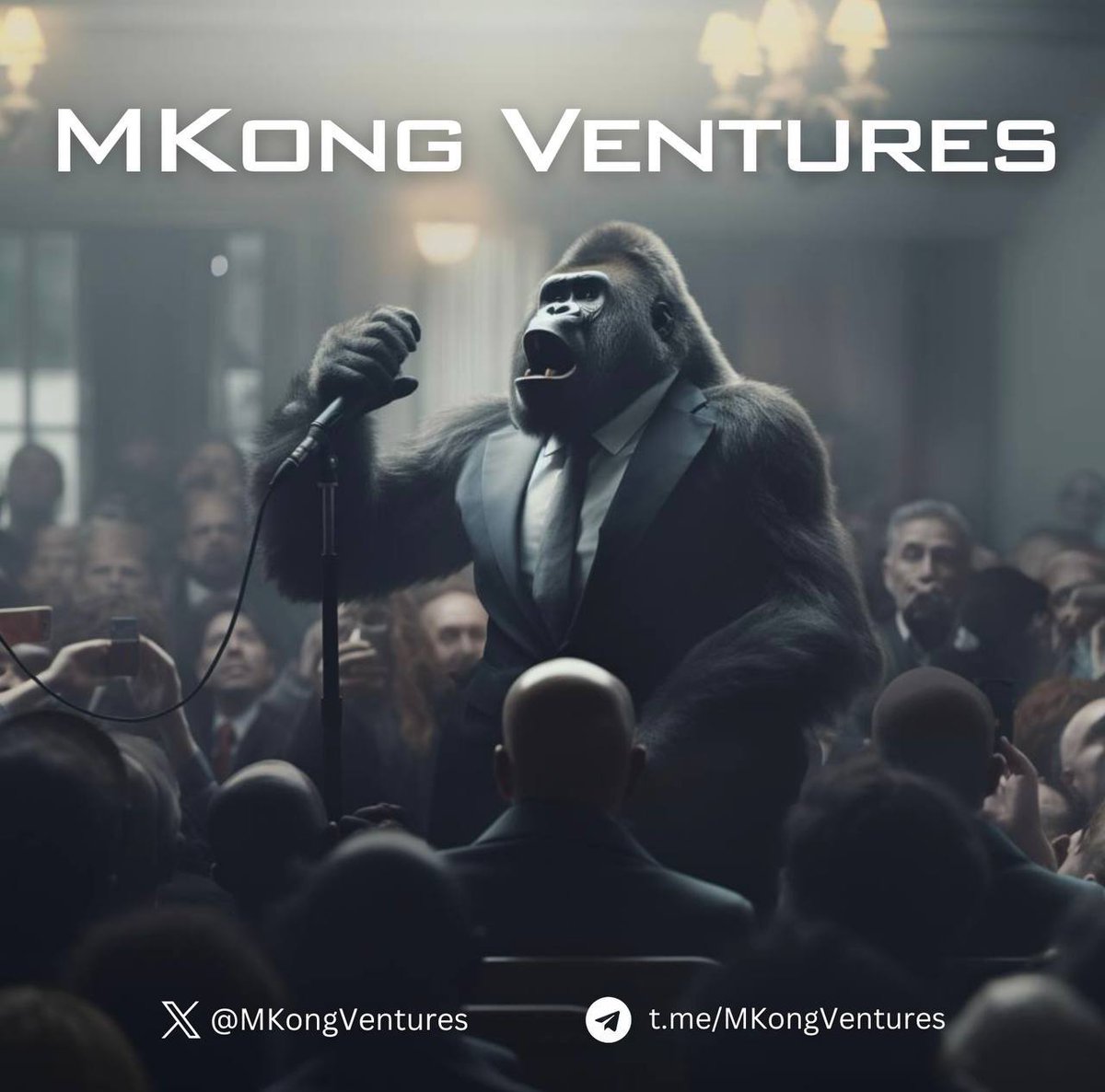 Based Captain $MKONG tweet media