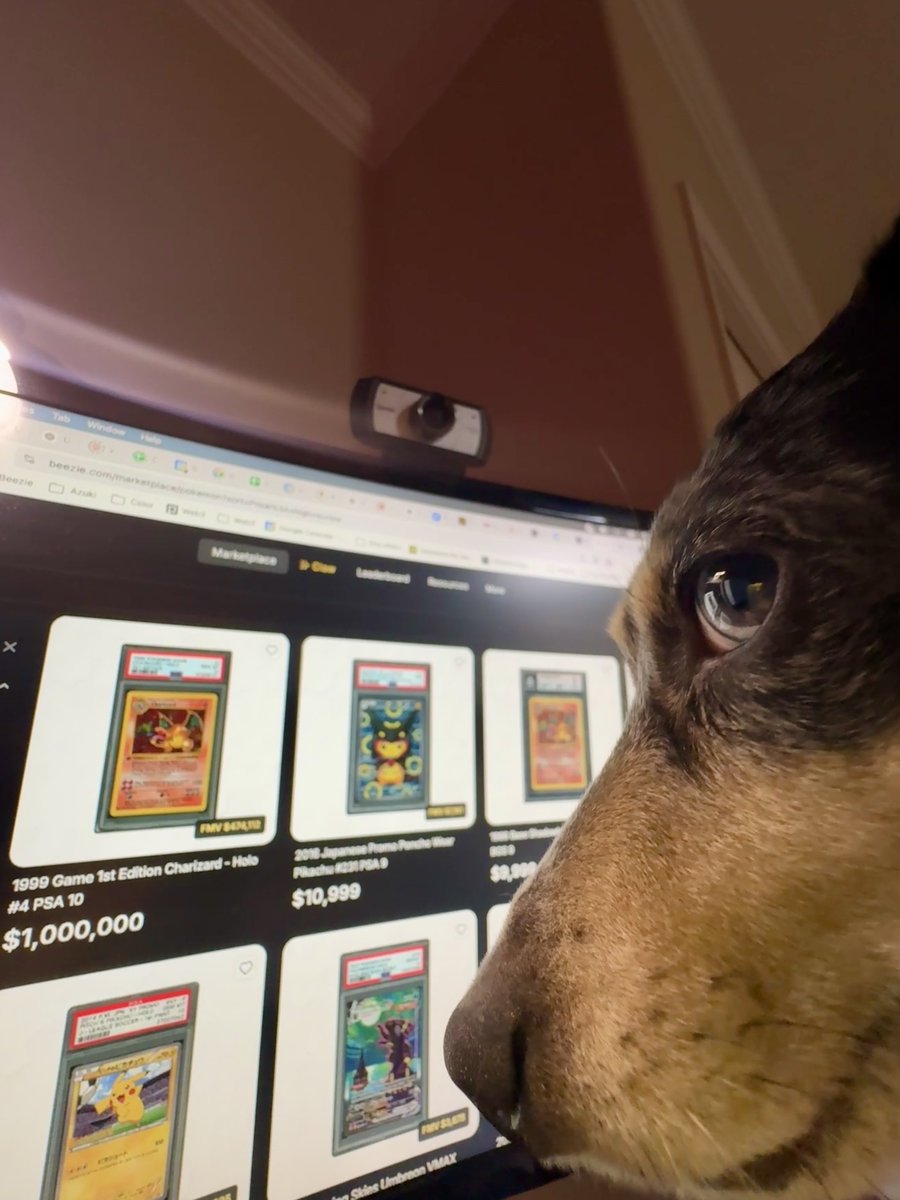 DachshundWizard 🧙‍♂️ tweet media