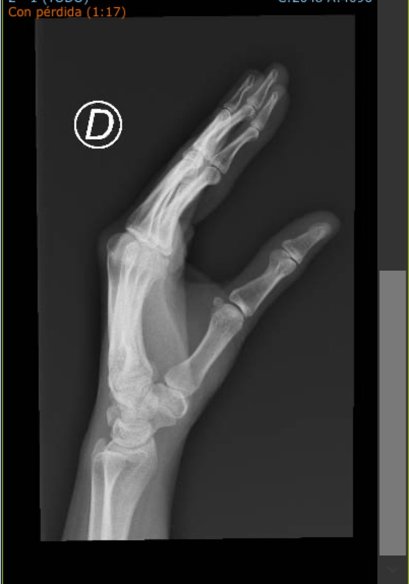 notremadame 🌙 tweet media