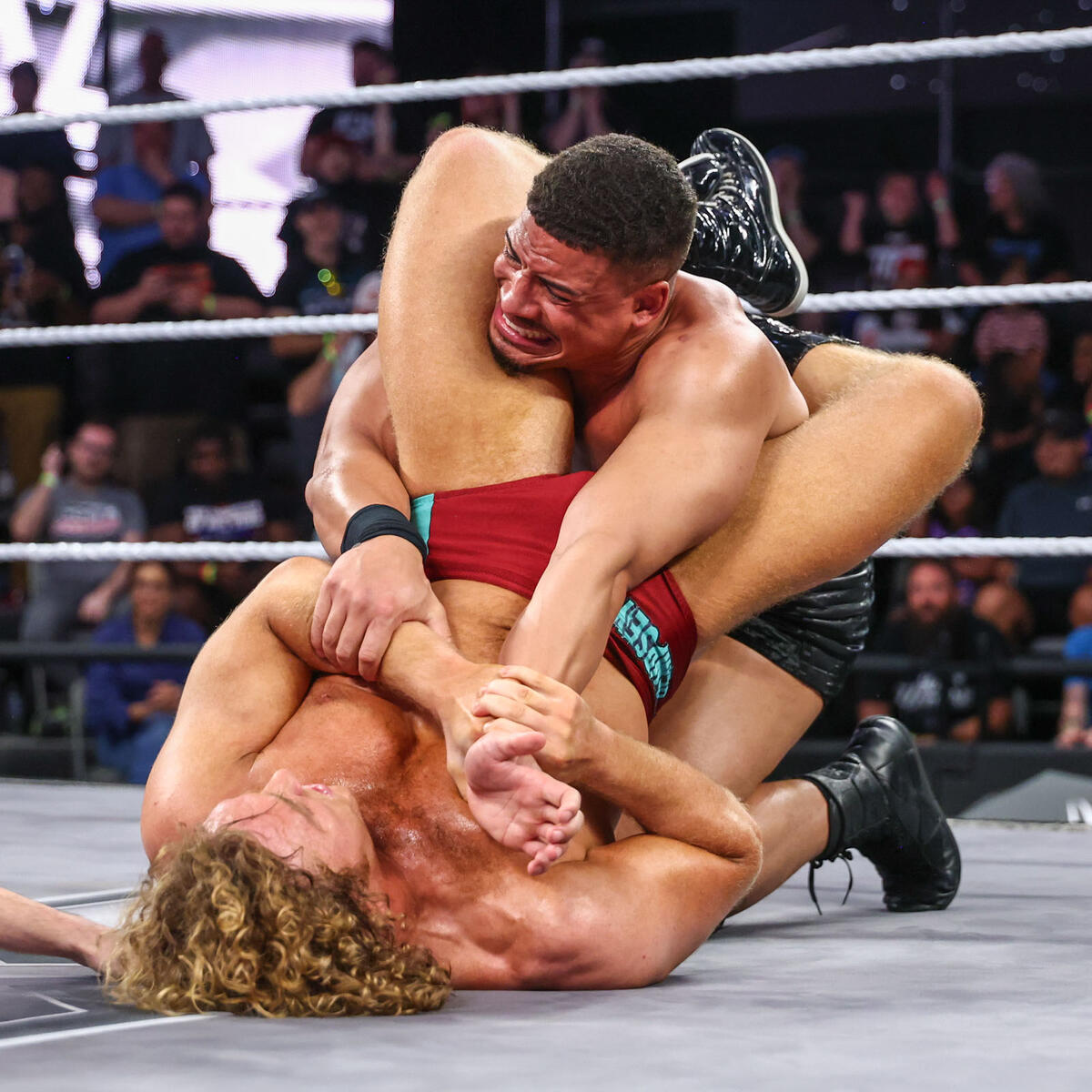 Grandson of the ripper. ∤ @SirCharles_WWE parody. tweet media