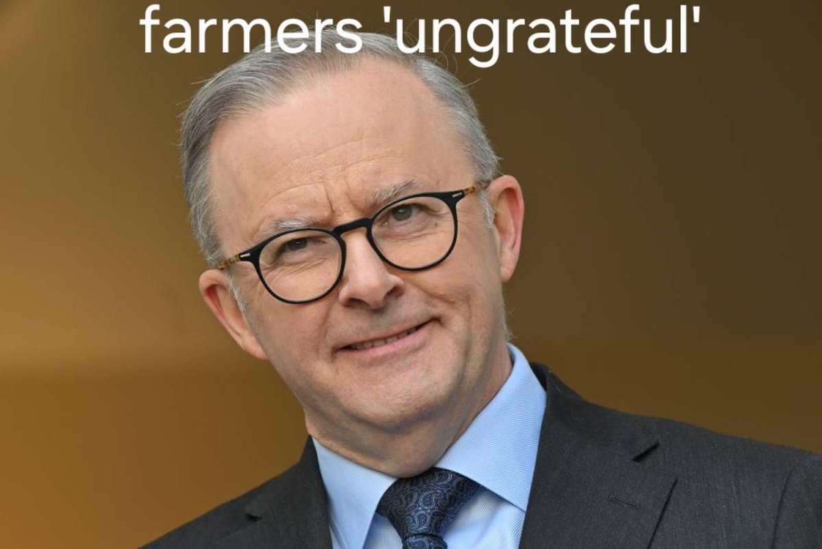 Jeremy Morton 🌾🐸🦆🚜🐟🐂 tweet media