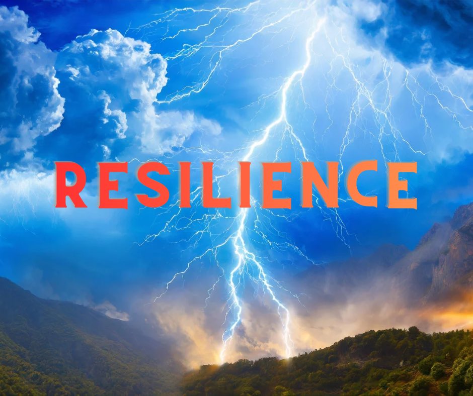 Gcharlopmd's tweet image. Dr. Gregory Charlop here. In my experience helping family offices, executives, physicians. and the defense industry improve decision-making in high-stress environments, resilience reigns supreme.

#resilience #familyoffice #DecisionMaking