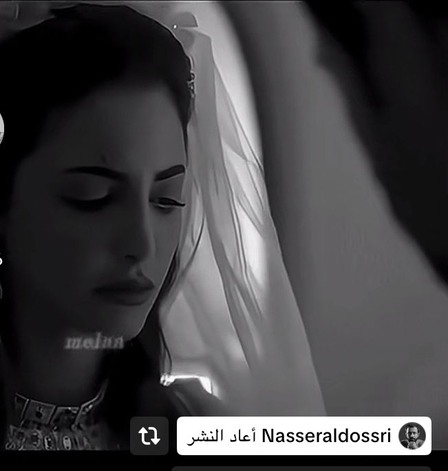 فيـــولا tweet media