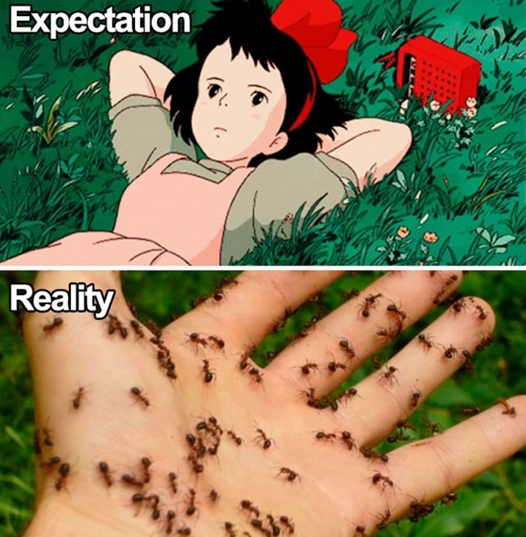 Nature Videos tweet media